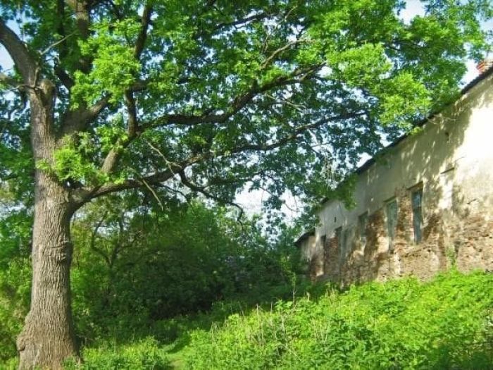 Достопримечательности Чернигова: что стоит увидеть Достопримечательности Чернигова: что стоит увидеть