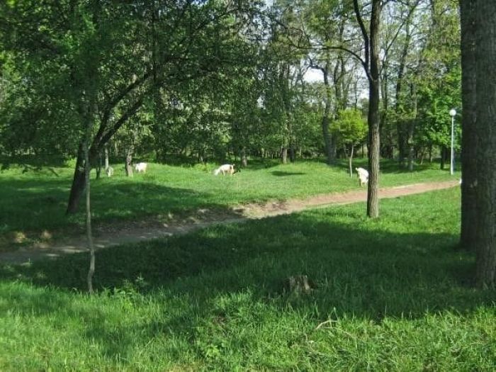 Достопримечательности Чернигова: что стоит увидеть Достопримечательности Чернигова: что стоит увидеть