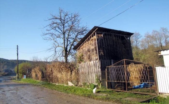 Кривче. Околиця підземного світу. Похід в печери Кривче. Околиця підземного світу. Похід в печери