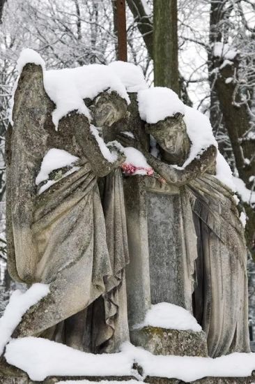 Львів взимку Львів взимку
