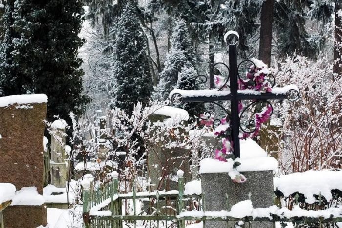 Львів взимку Львів взимку
