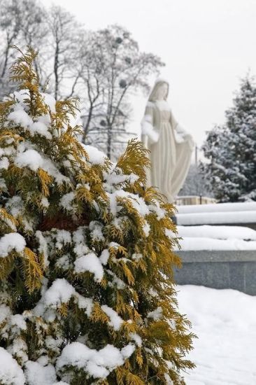 Львів взимку Львів взимку