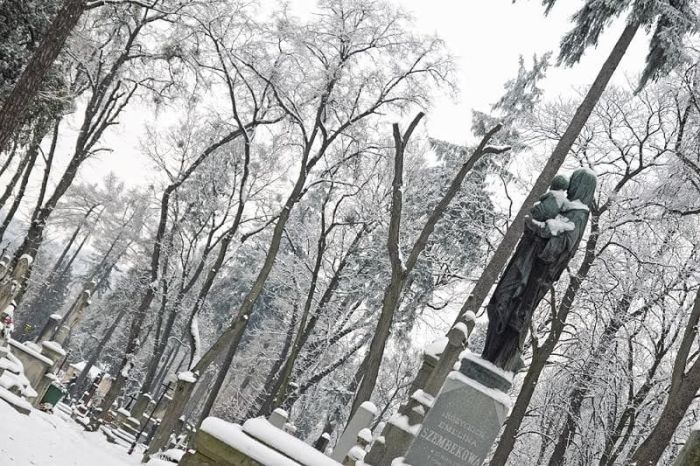 Львів взимку Львів взимку