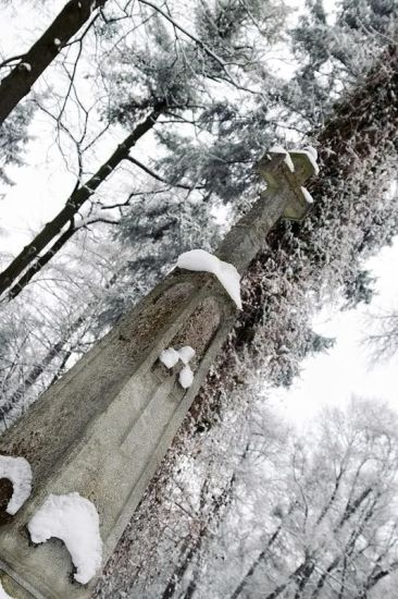 Львів взимку Львів взимку