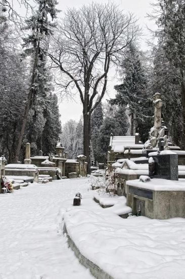 Львів взимку Львів взимку