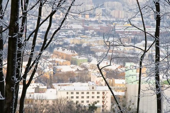 Львів взимку Львів взимку
