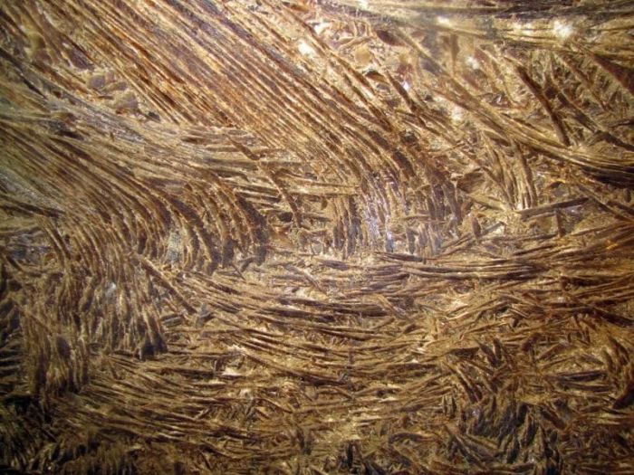 Подолия. Вечное поле битвы Подолия. Вечное поле битвы