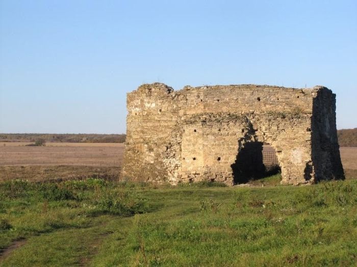 Подолия. Вечное поле битвы Подолия. Вечное поле битвы