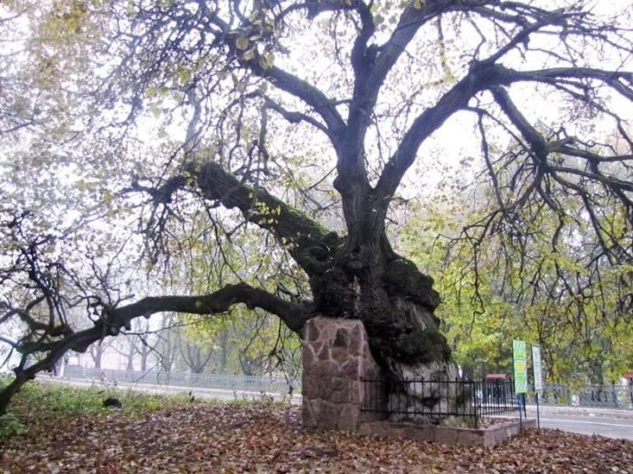 Подолия. Вечное поле битвы Подолия. Вечное поле битвы
