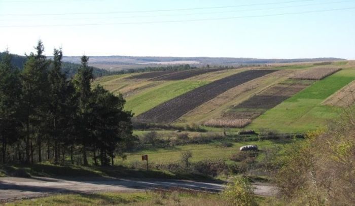 Подолия. Вечное поле битвы Подолия. Вечное поле битвы