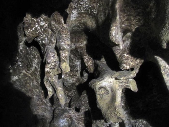 Подолия. Вечное поле битвы Подолия. Вечное поле битвы