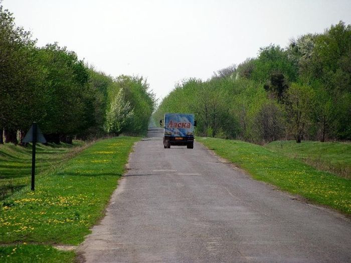 Про селa восточной Украины и животных-самоубийц