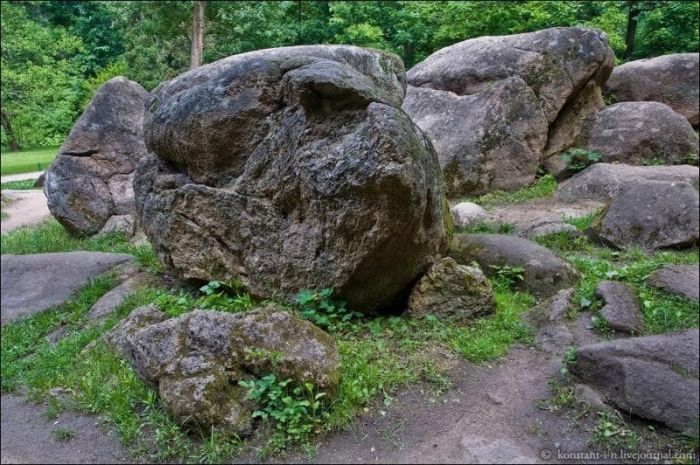 Дендропарк Софиевка Дендропарк Софиевка