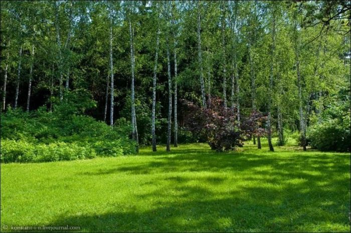 Дендропарк Софиевка Дендропарк Софиевка