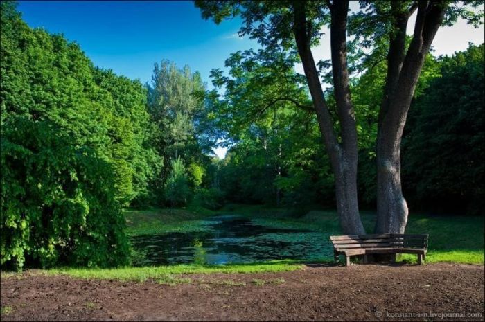 Дендропарк Софіївка