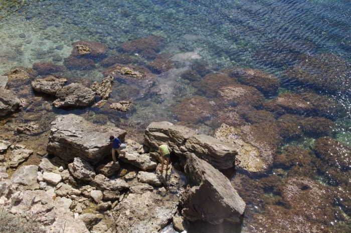 Тарханкут: на краю Крыма Тарханкут: на краю Крыма