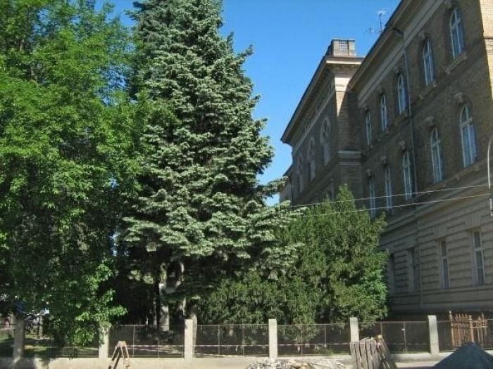 Ужгород Ужгород