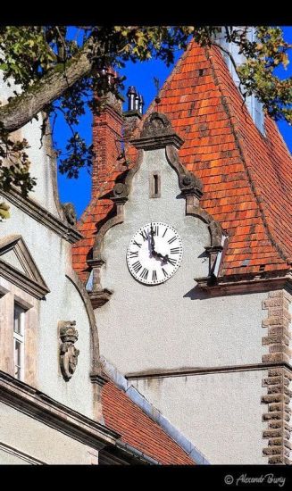 Замок Шенборна Замок Шенборна