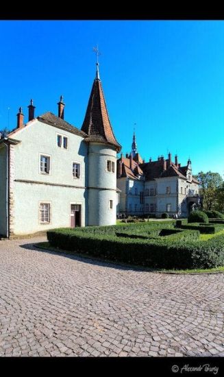 Замок Шенборна Замок Шенборна