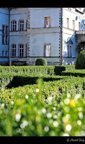 Замок Шенборна Замок Шенборна