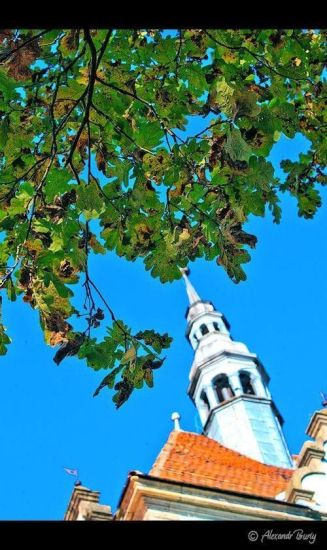 Замок Шенборна Замок Шенборна