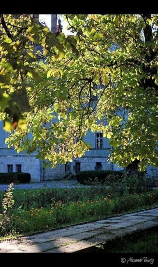 Замок Шенборна Замок Шенборна