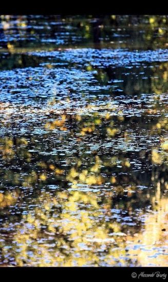 Замок Шенборна Замок Шенборна