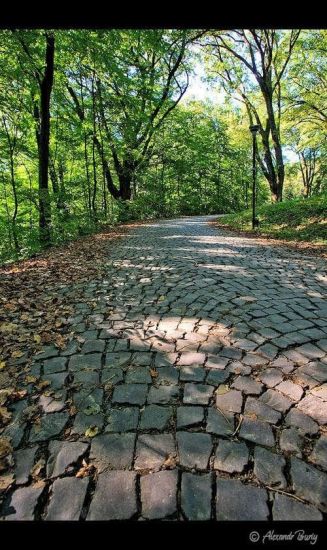 Замок Шенборна Замок Шенборна