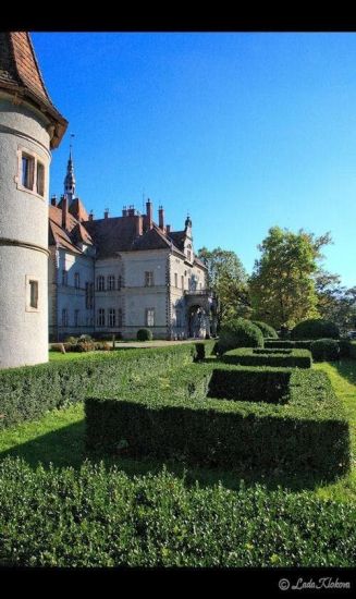 Замок Шенборна Замок Шенборна