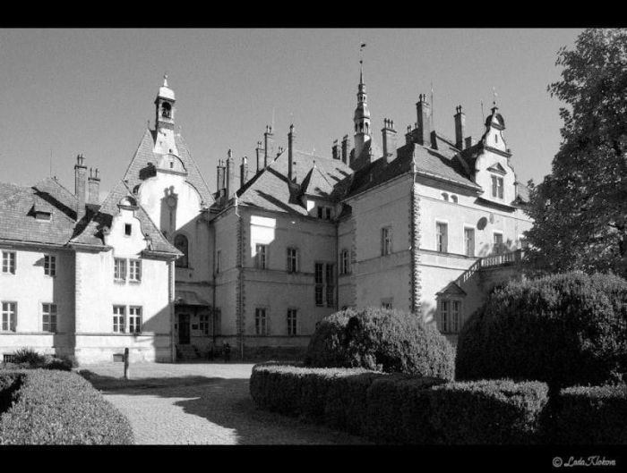 Замок Шенборна Замок Шенборна