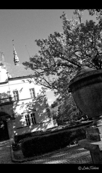 Замок Шенборна Замок Шенборна