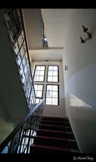 Замок Шенборна Замок Шенборна