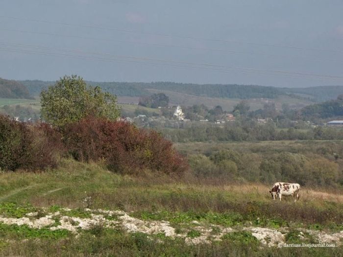 Золочівський замок Золочівський замок