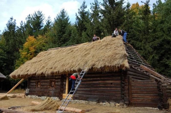 Золотая осень в Пирогово