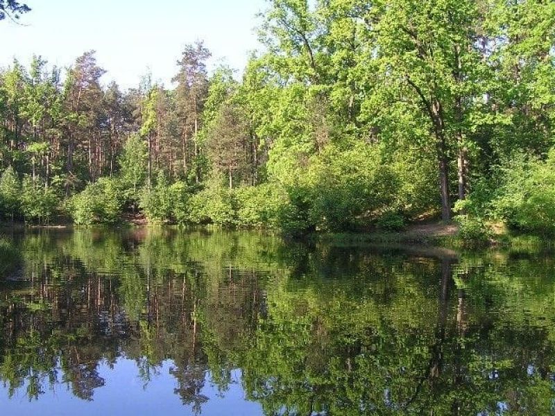 Город бухара погода